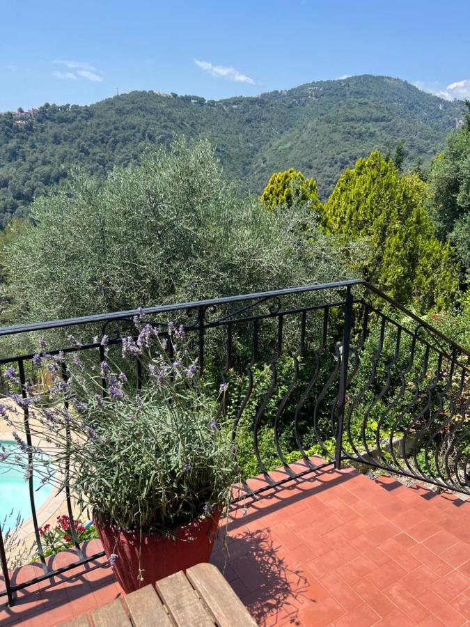 Entre Nice Et Monaco Grande Villa Avec Piscine Privee 12 Personnes Drap Exterior photo